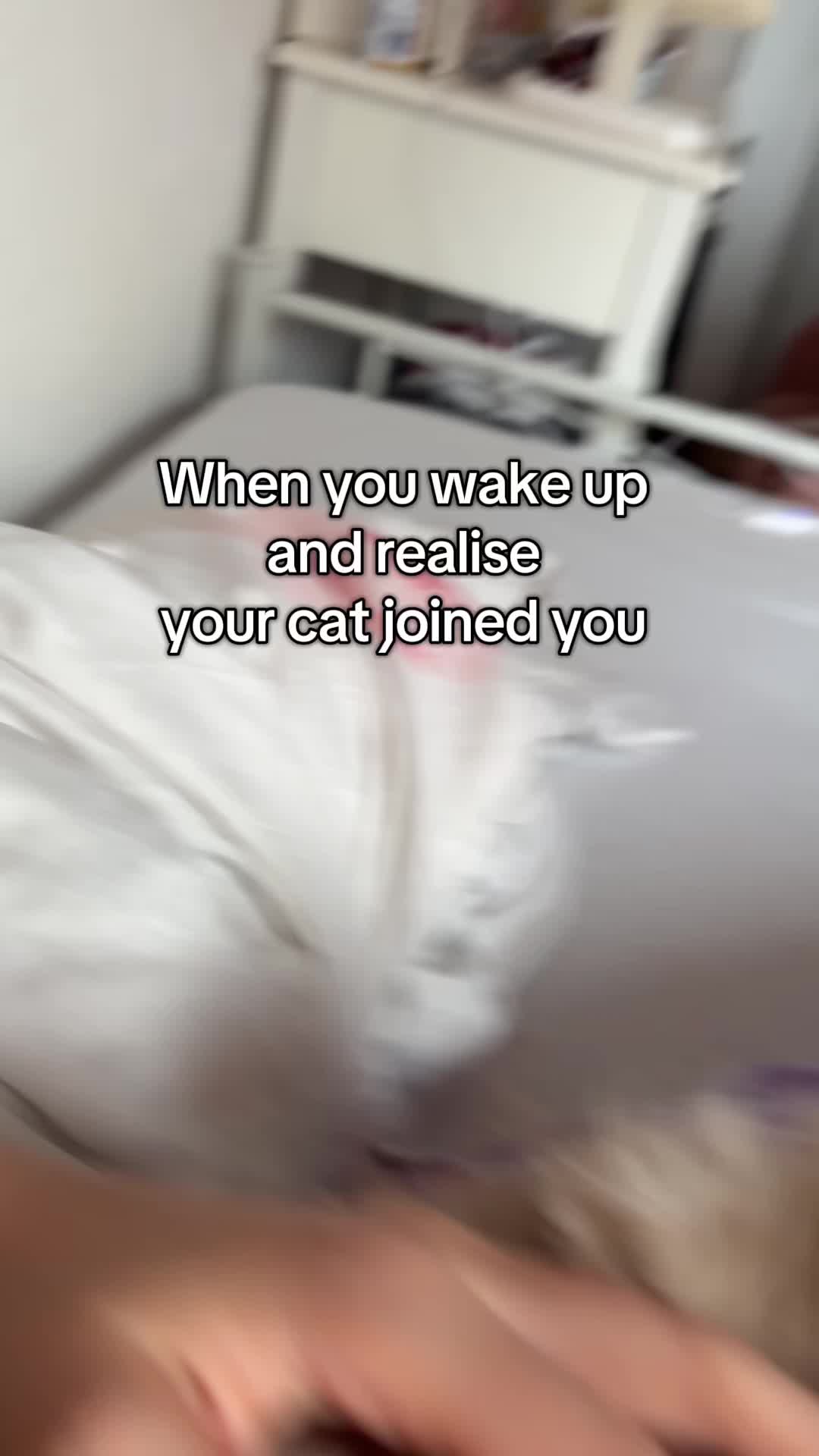 @Julia