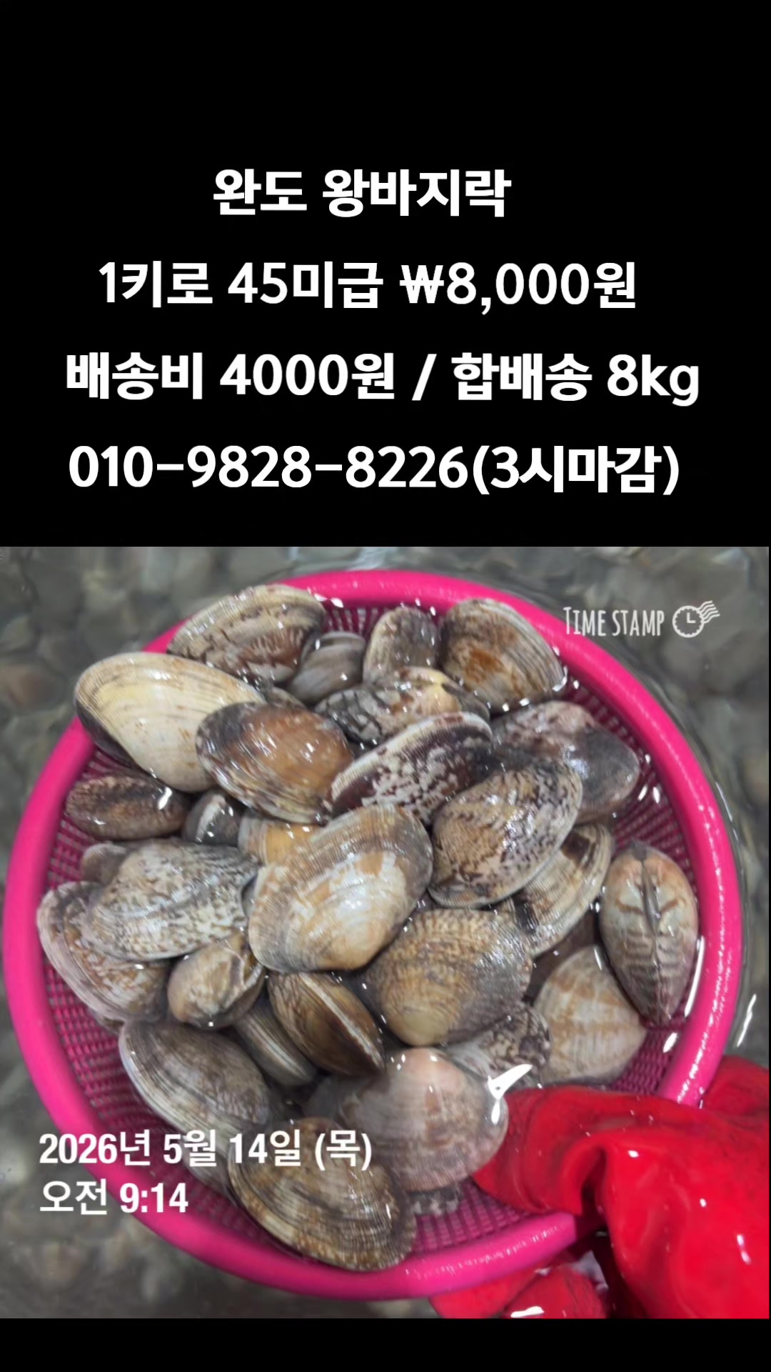 @똑손