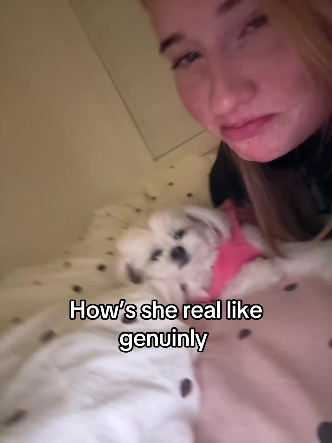 @hi🧚