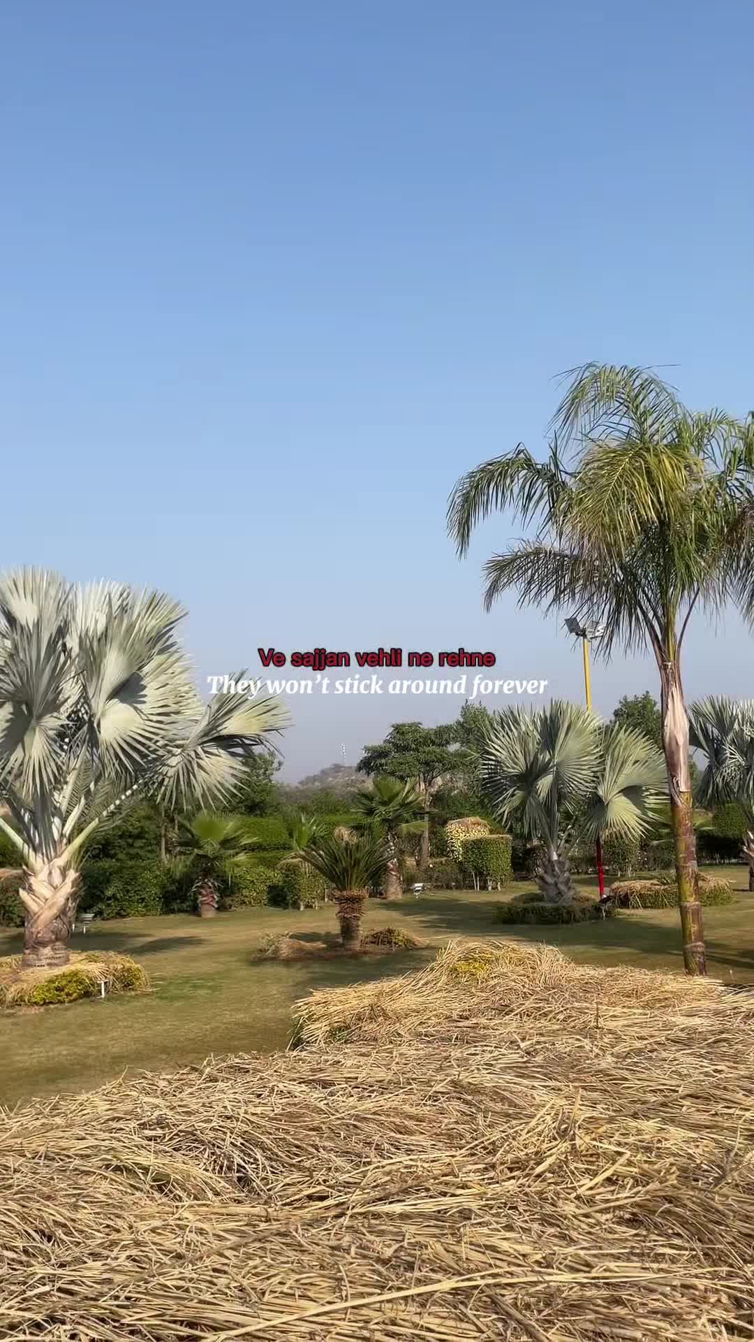 @Qazi Jamal ރ
