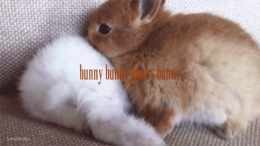 @𝒟ℴ𝓅ℯ ℬℴ𝒾 🪽