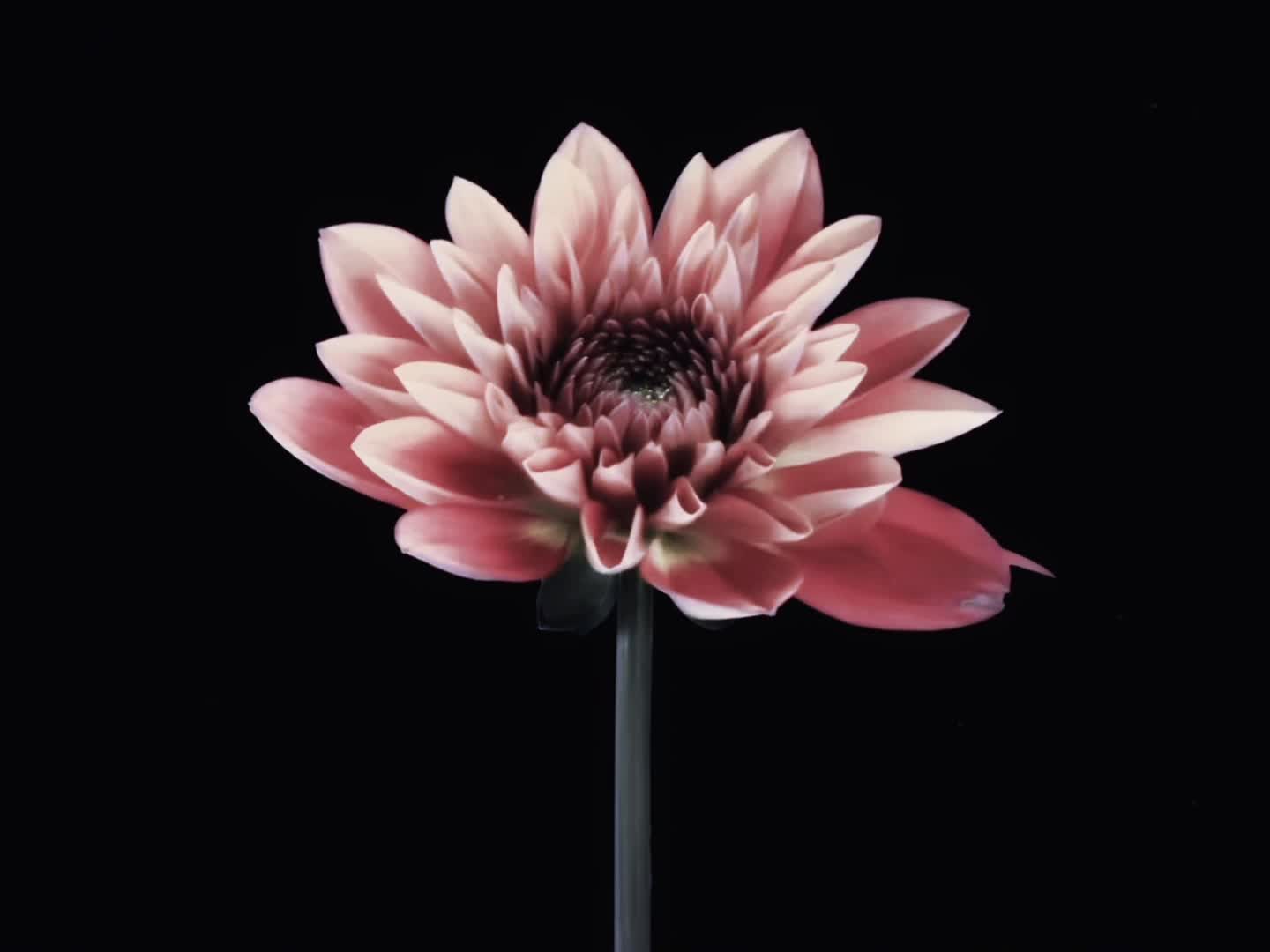 @ᶻ 𝗓 𐰁