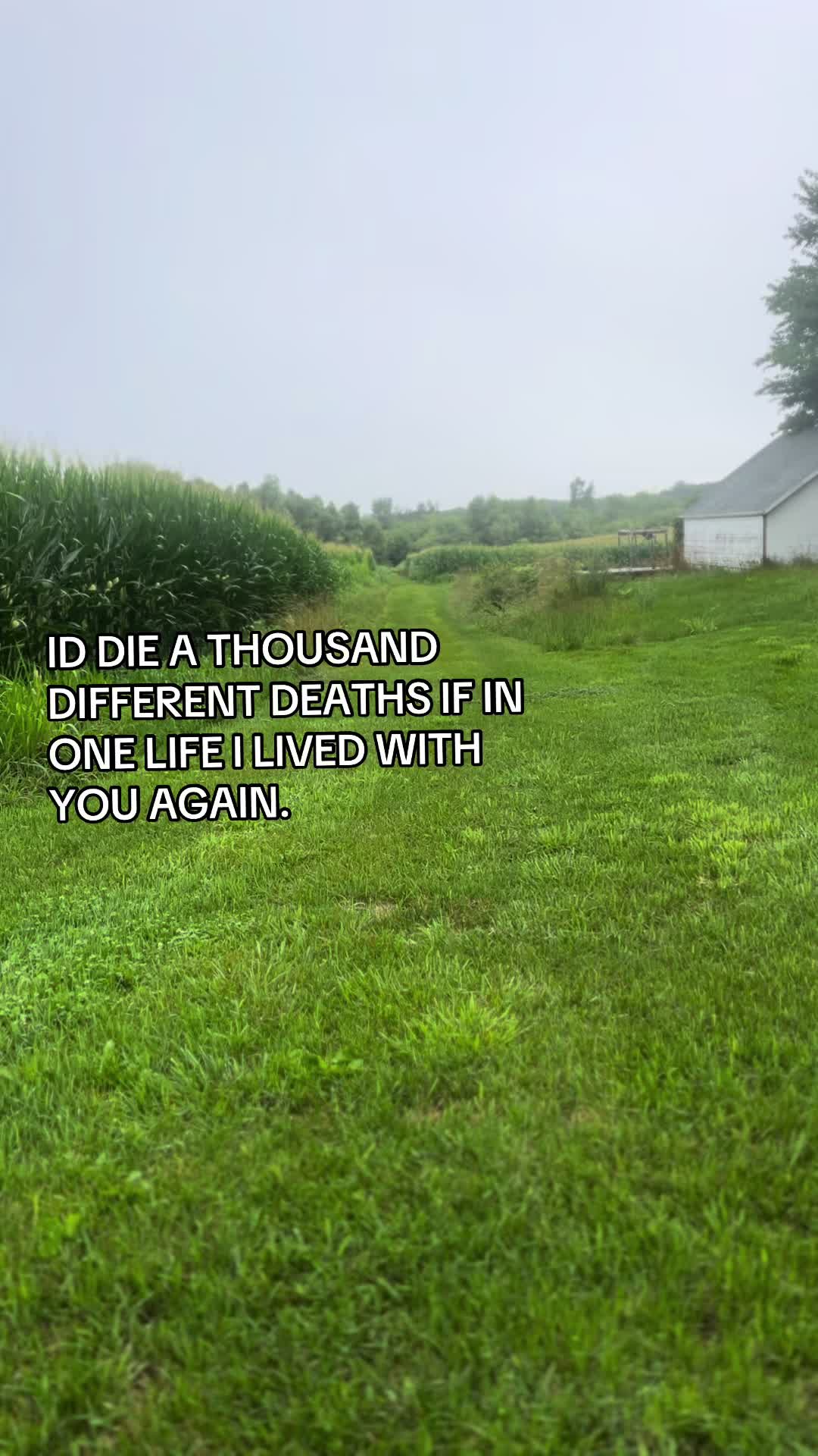 @black_sheep1444