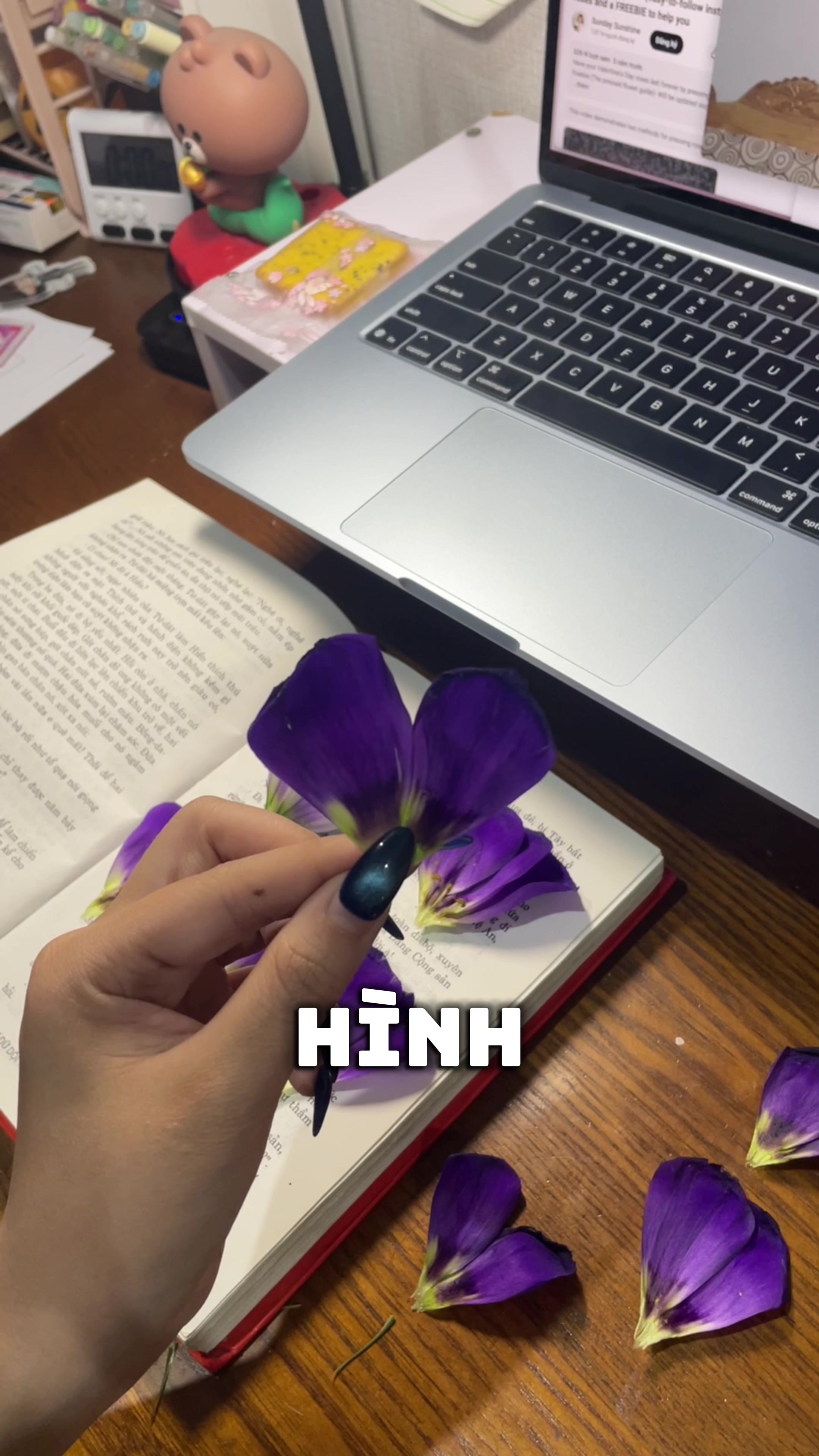 @g&aacute;i nhật đ&oacute;o
