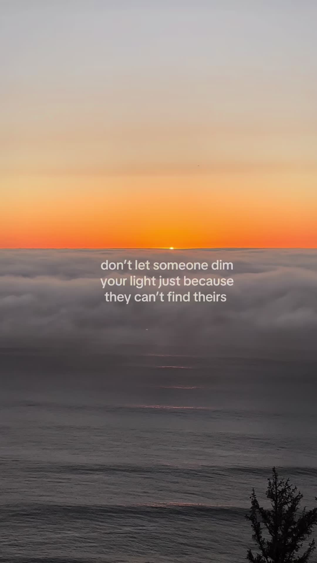 @AV