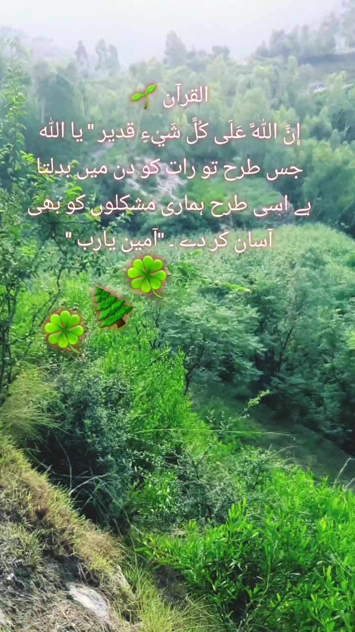 @Rashid Ullah