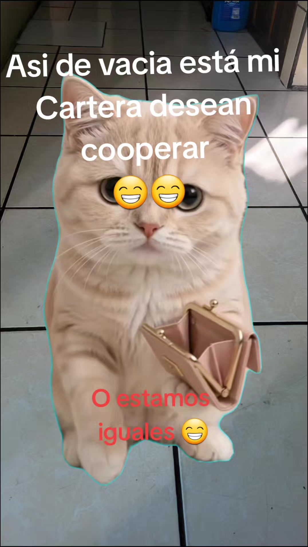 @Carmen Alvarado
