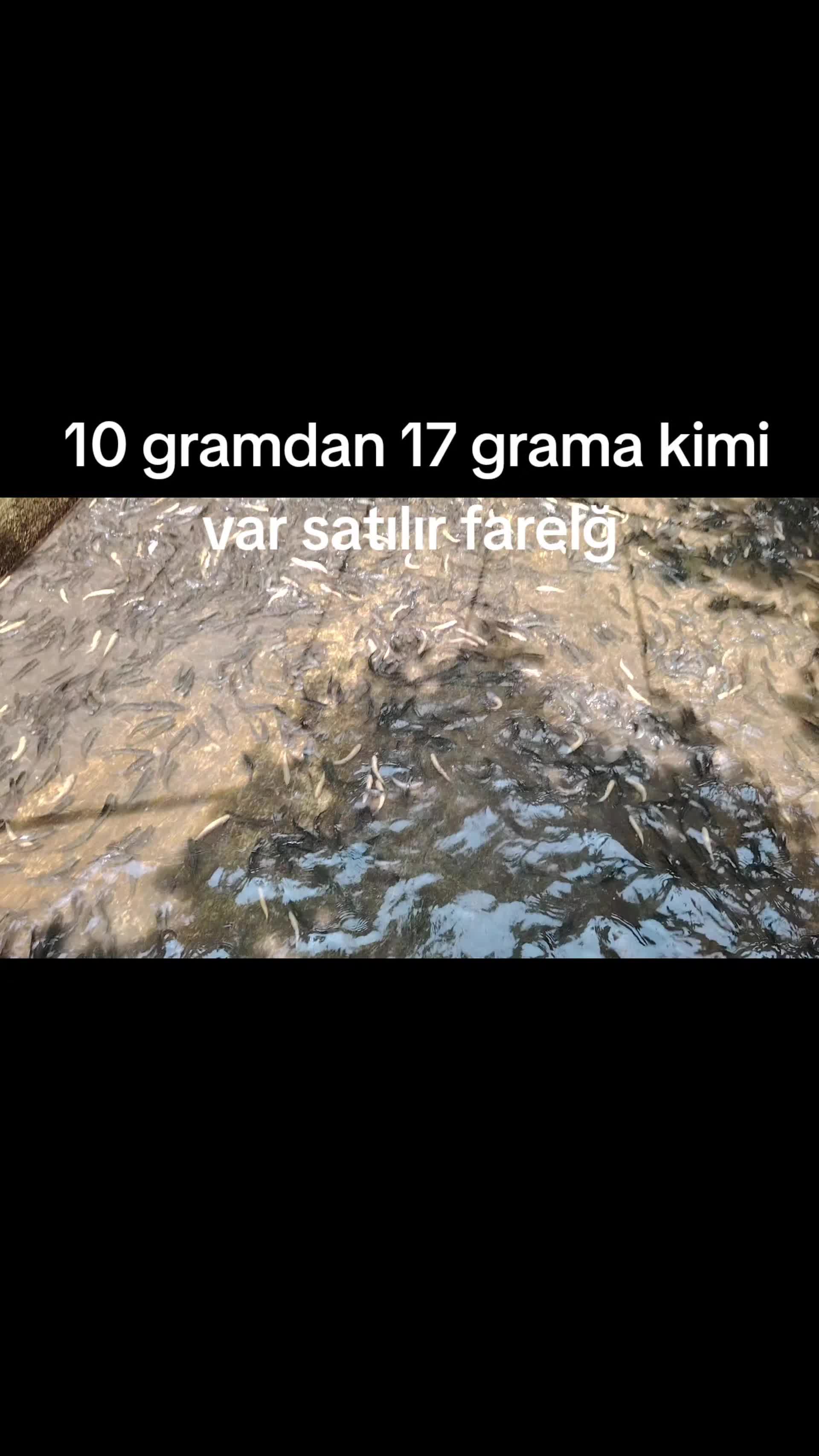 @Денис Чотари