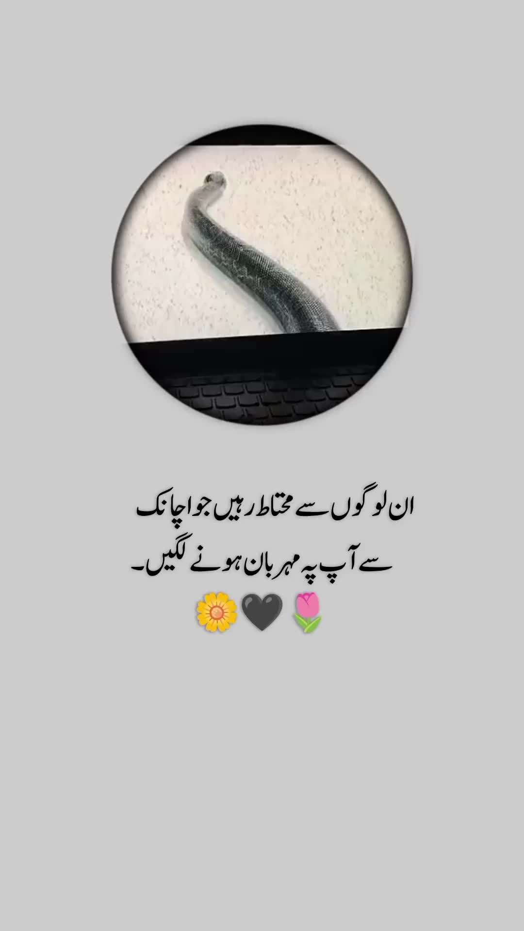 @💕⃝اجتــــــناب ؏ِـشْــق💕⃝🕊️