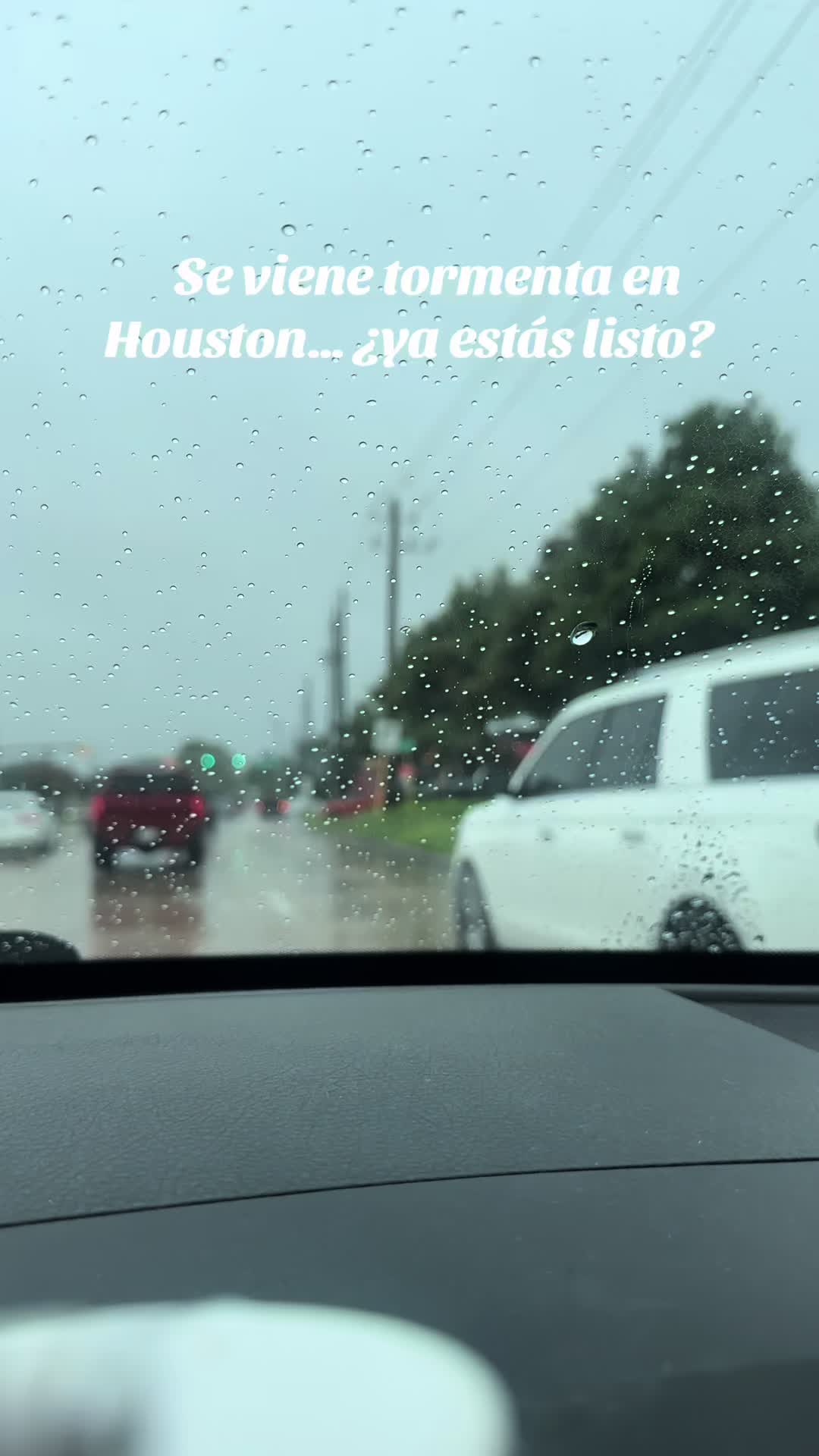 @Marieta 🐕🦺🌲💐🎡🇻🇪