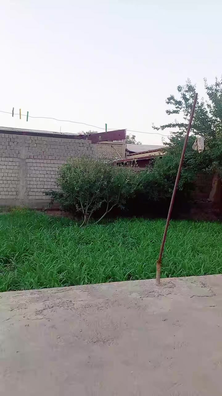 @Safaraliyev Asilbek