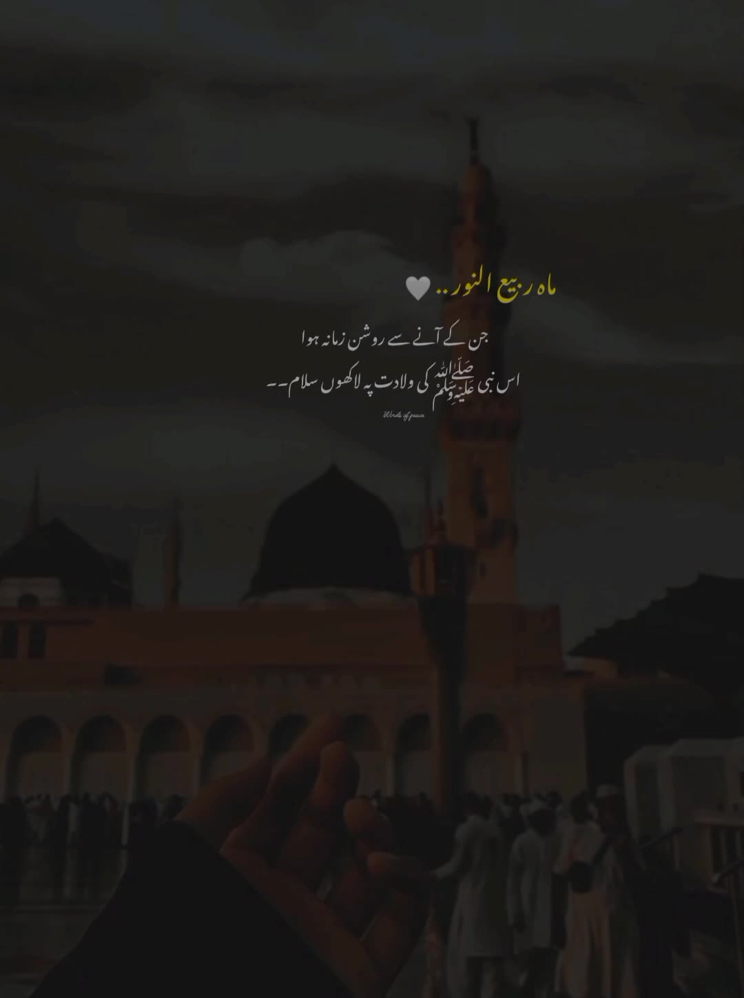 @قلم کی نمی🥀