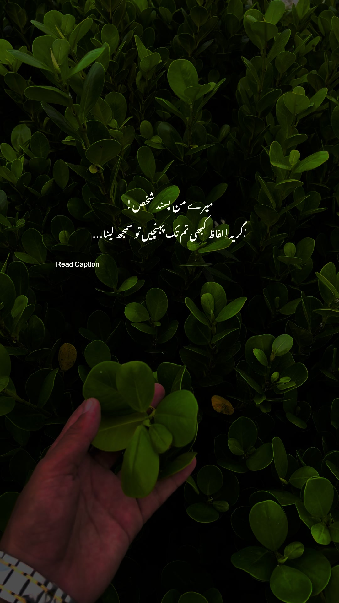 @𓆩 Aabi 𓆪