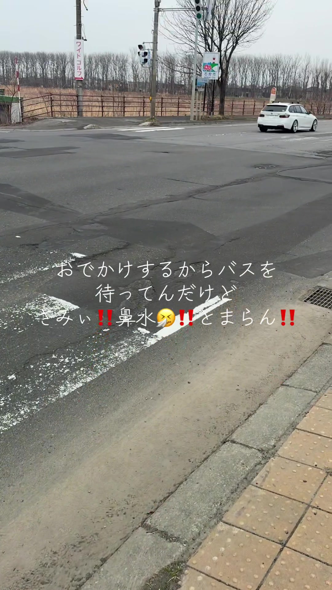 @せぴあ