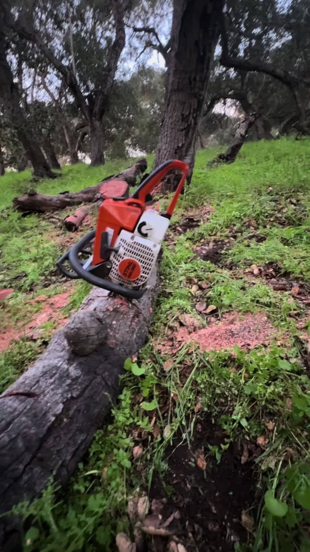 @Rh Fire wood
