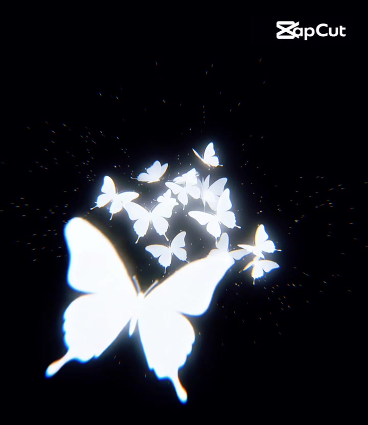 @ꨄƤaяΐ👑