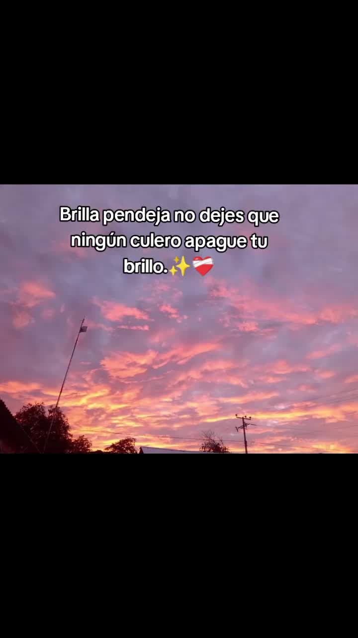 @yuli09