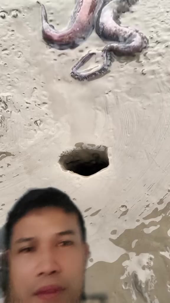 @Birada Jac