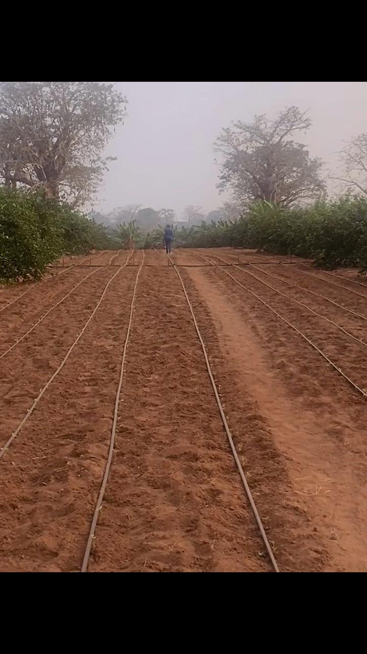 @LouMac_Guimbi