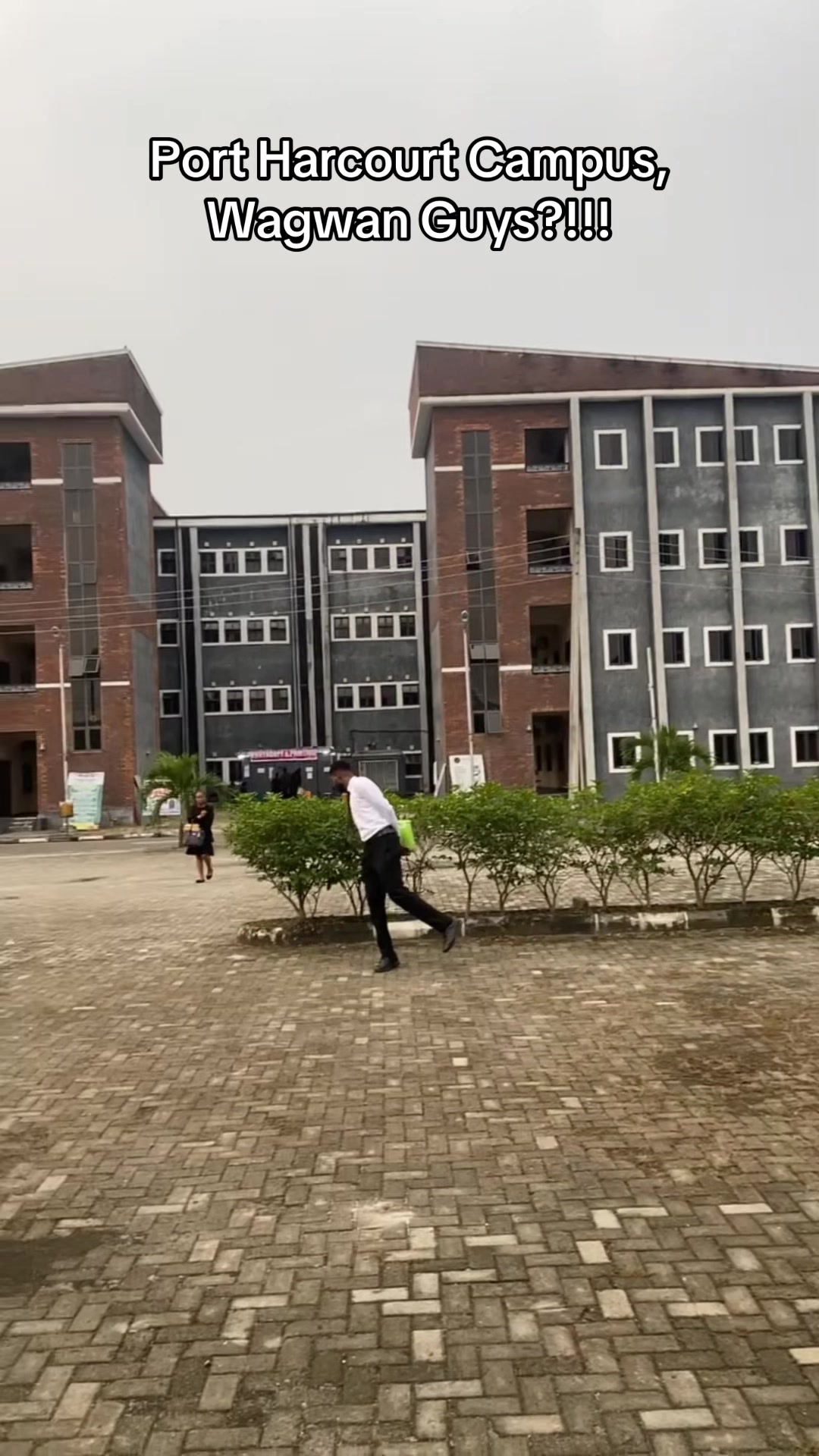 @Fallon Ajaegbu