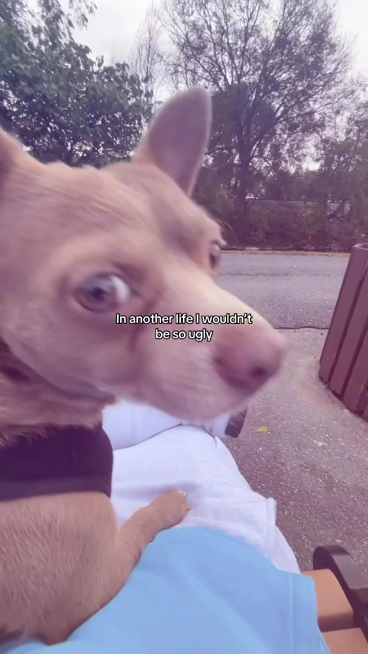 @🍃⪓ɪᴠᴀɴ2ʜɪɢʜ⪔🍃