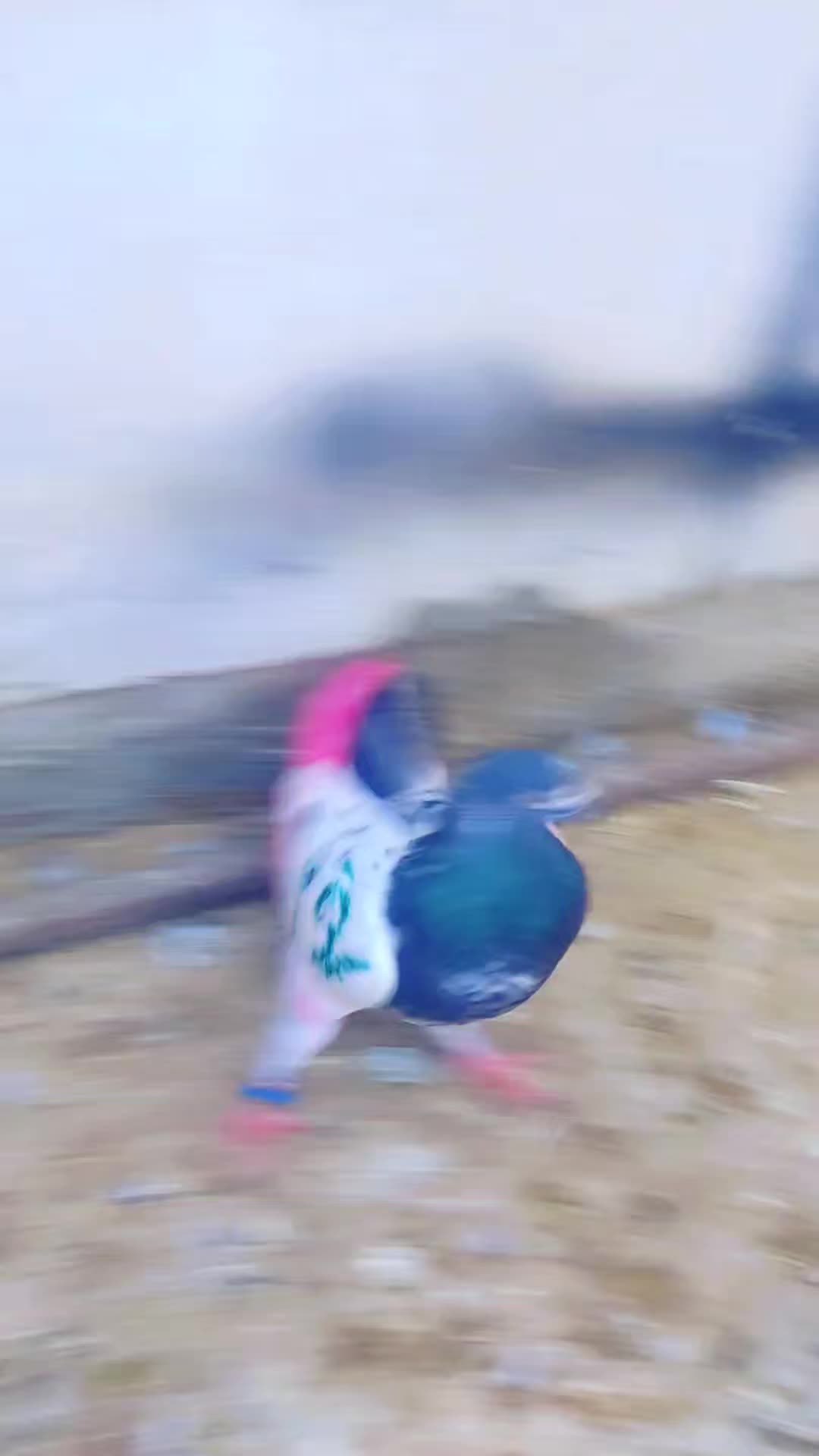 @king 12
