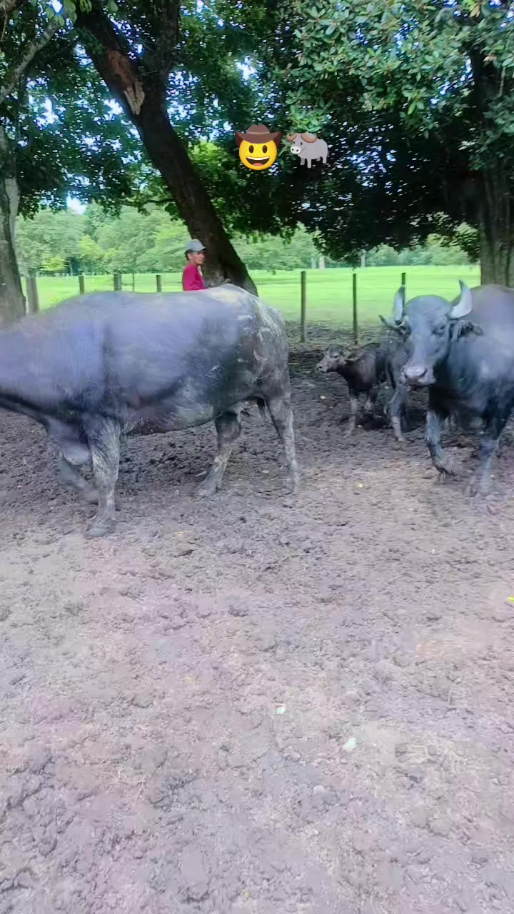 @José Mujica