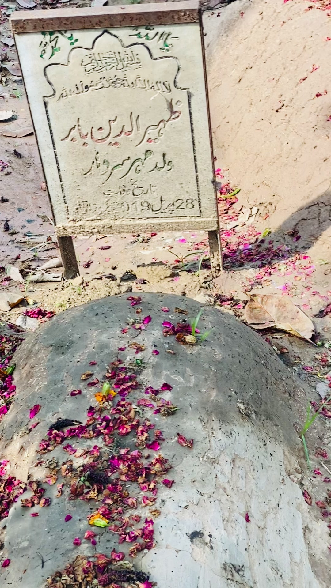 @Mian Saeed