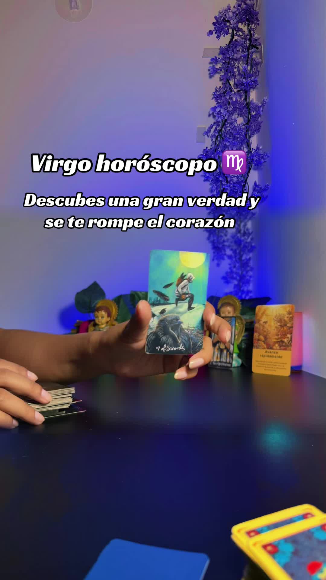 @camitarot77
