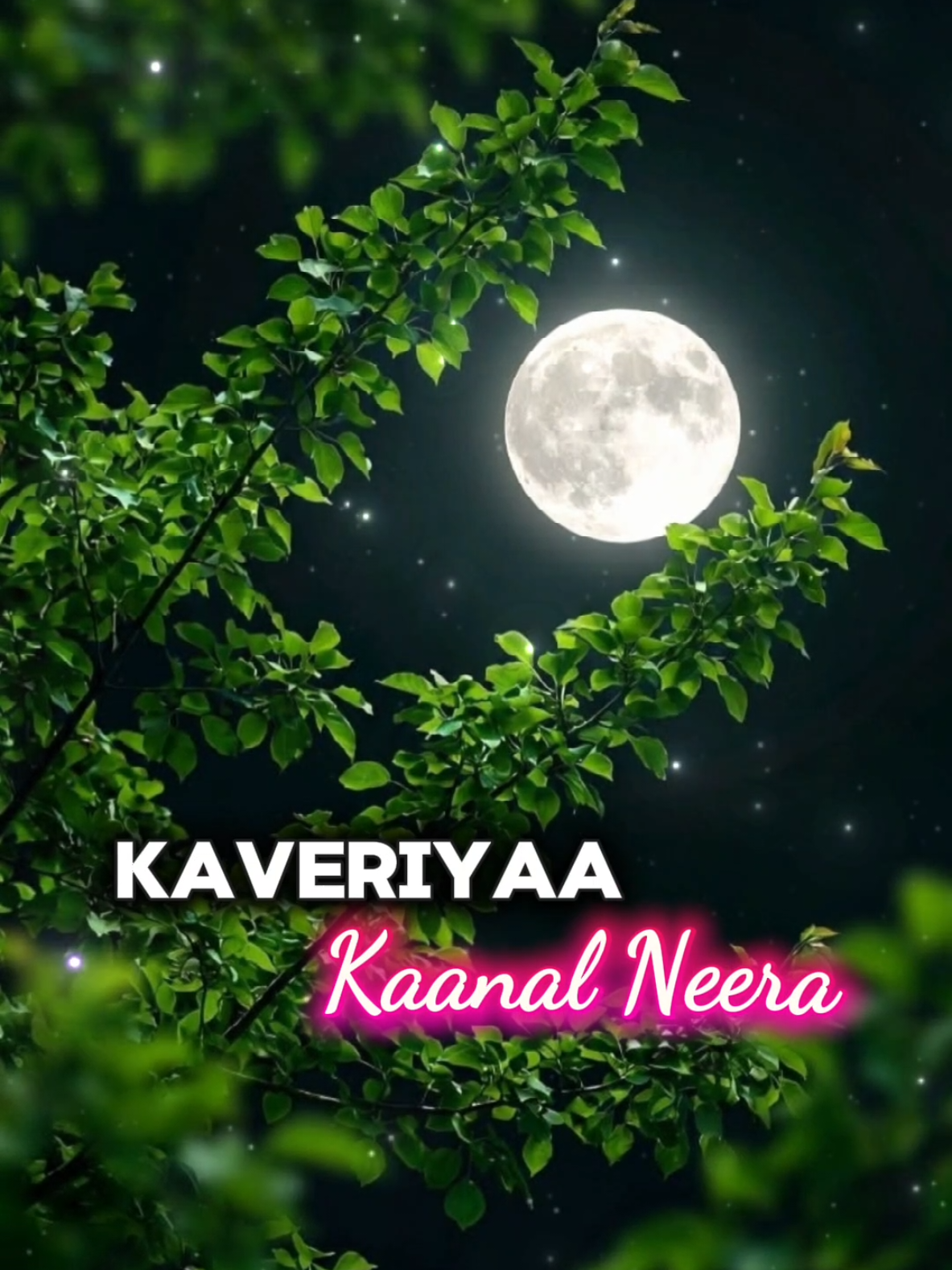 @Maari_lyrics😎