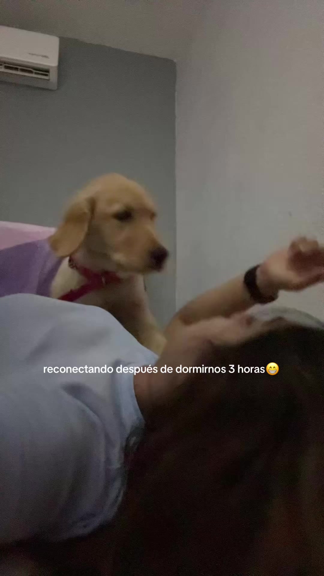 @not.nellyss