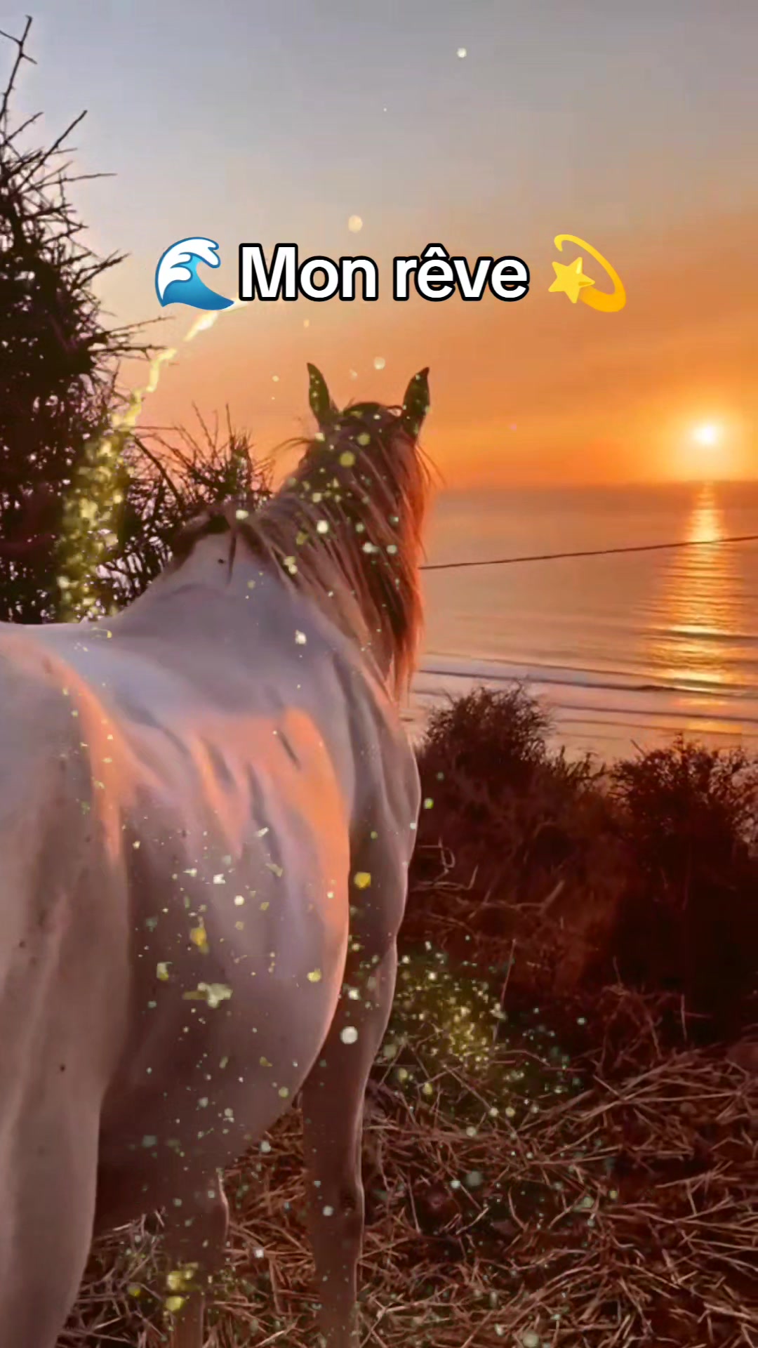 @👒Didounette 🦋