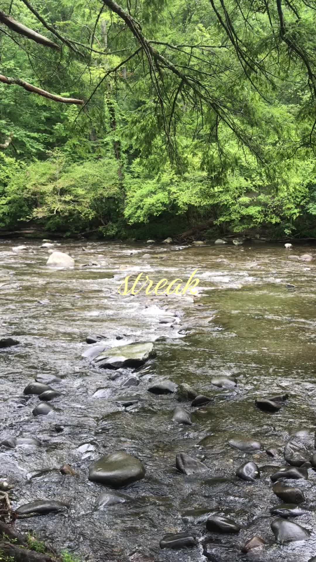 @𝐀𝐧𝐠𝐞𝐥 🐚