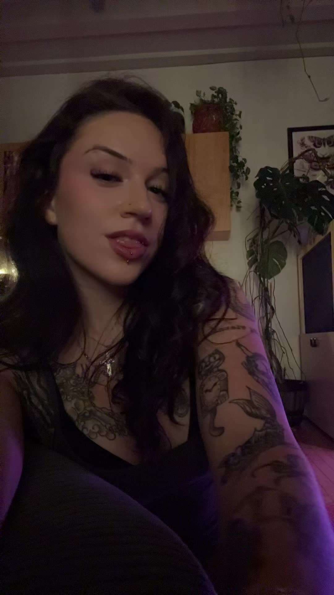 @liofied_