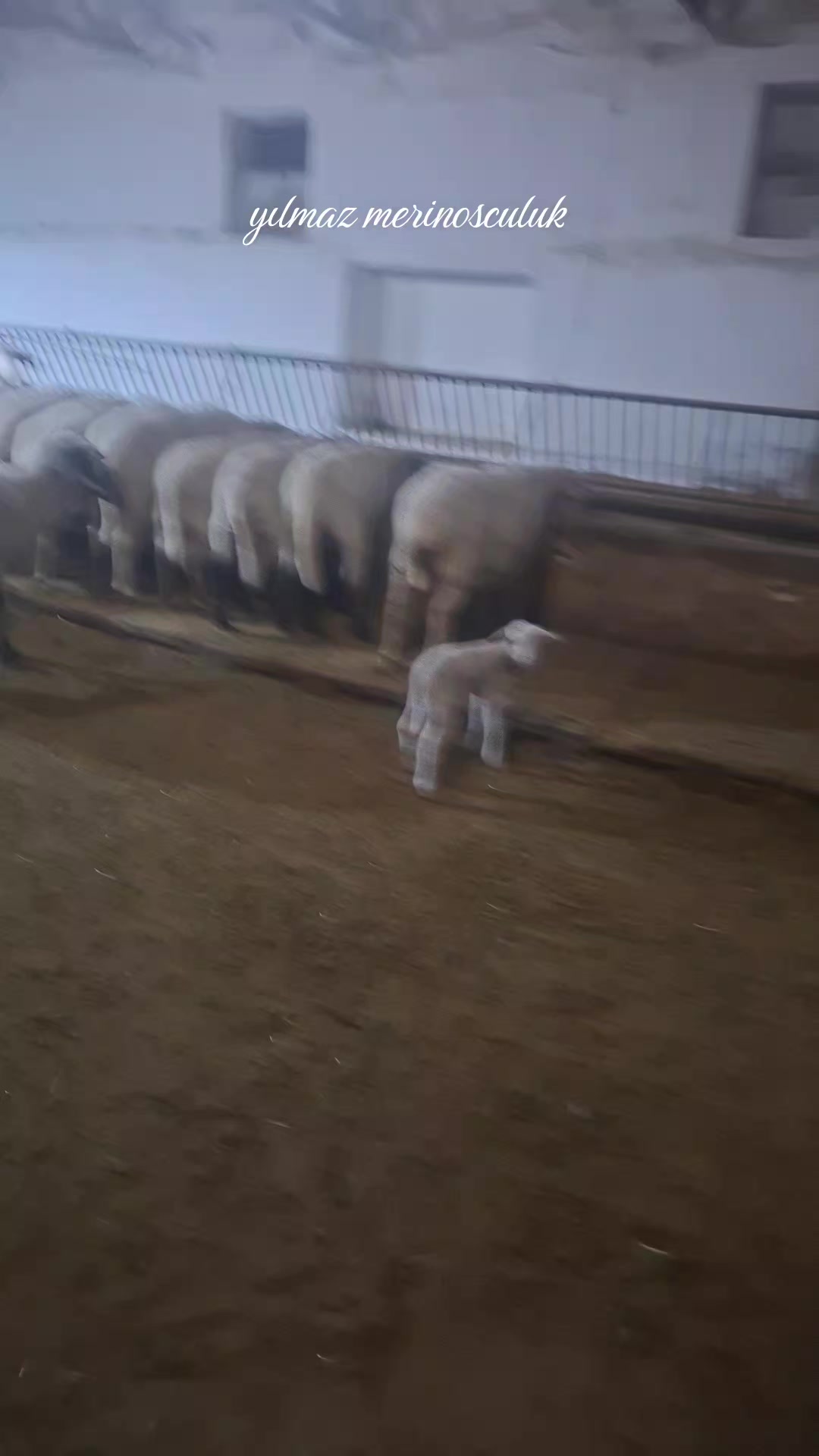 @Abd&uuml;l Baki Yılmaz