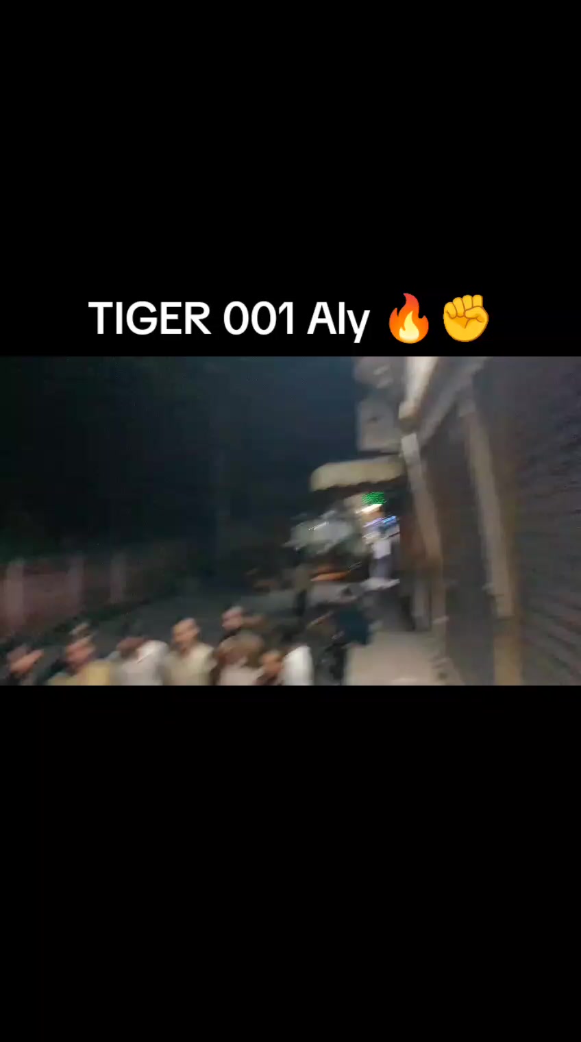 @چوہدری دانش پسوال ❤️🐯