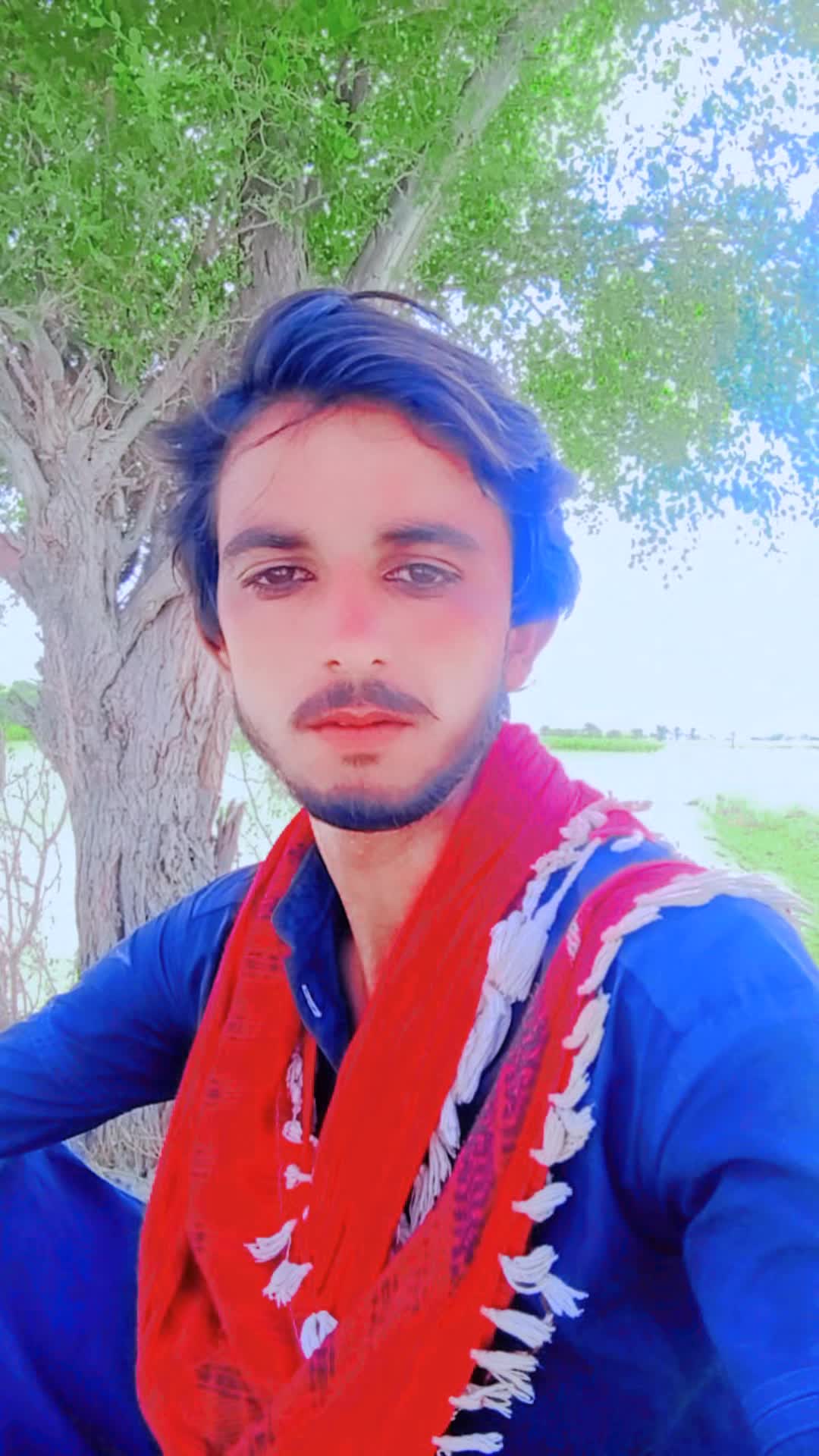 @seebano 76/