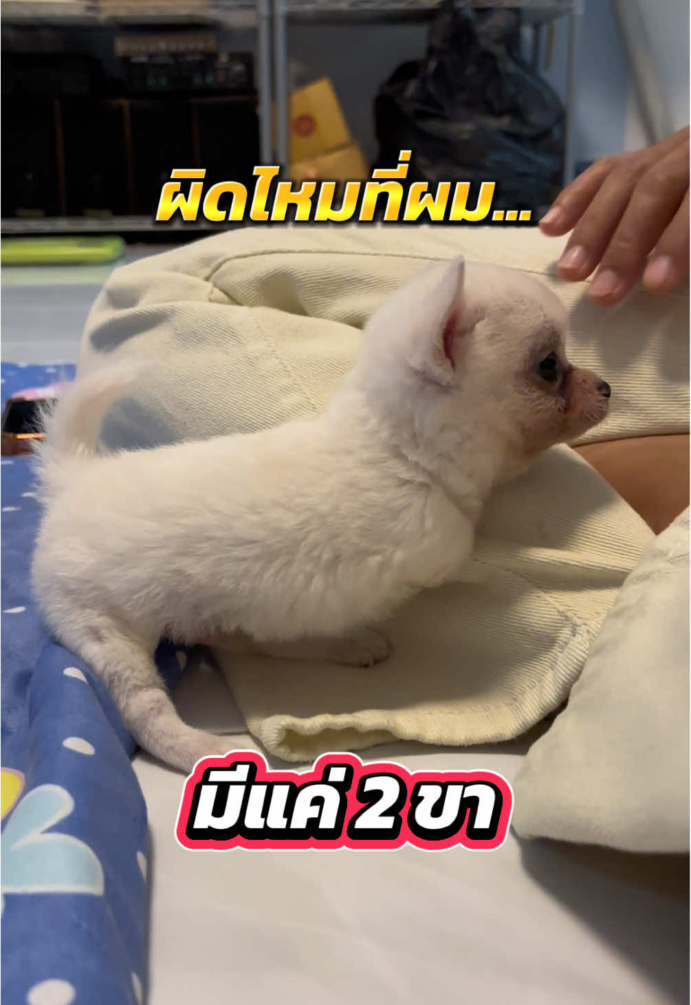 @ผมชื่อเฟิร์บ