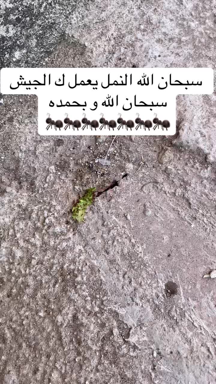 @🇹🇳Khalil 7050🇫🇷