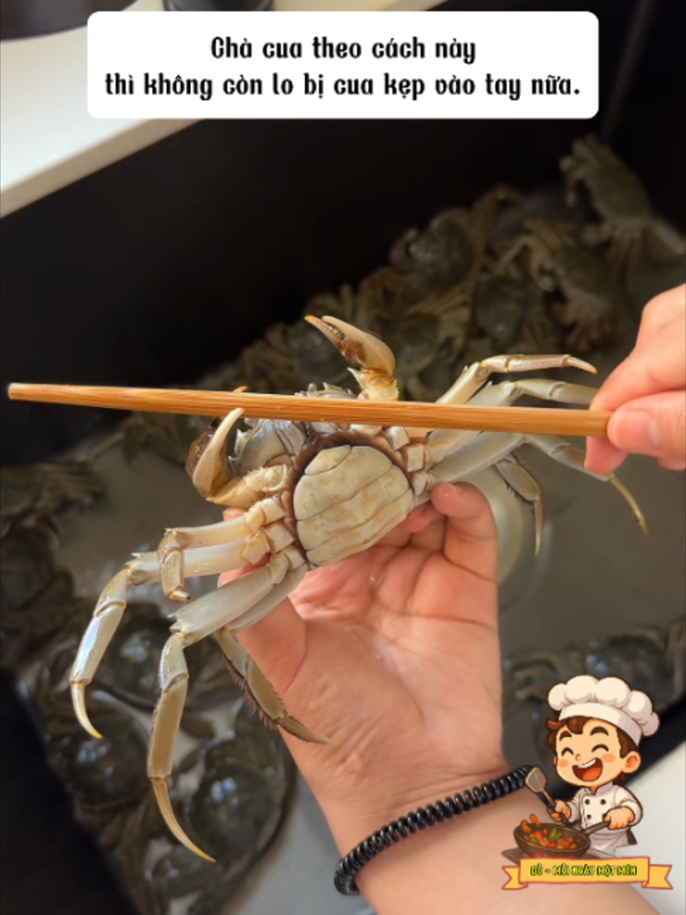 @Đỗ - Mỗi Ngày Một Món