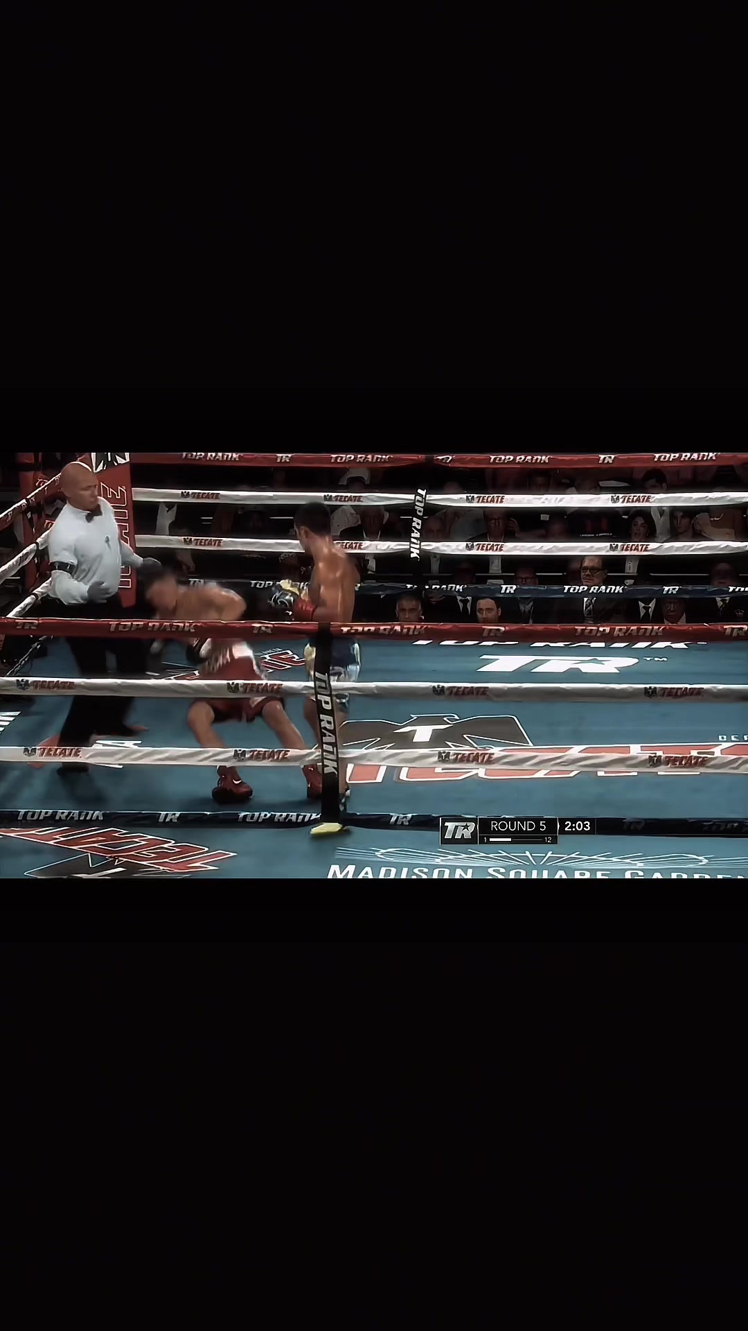 @combatclips