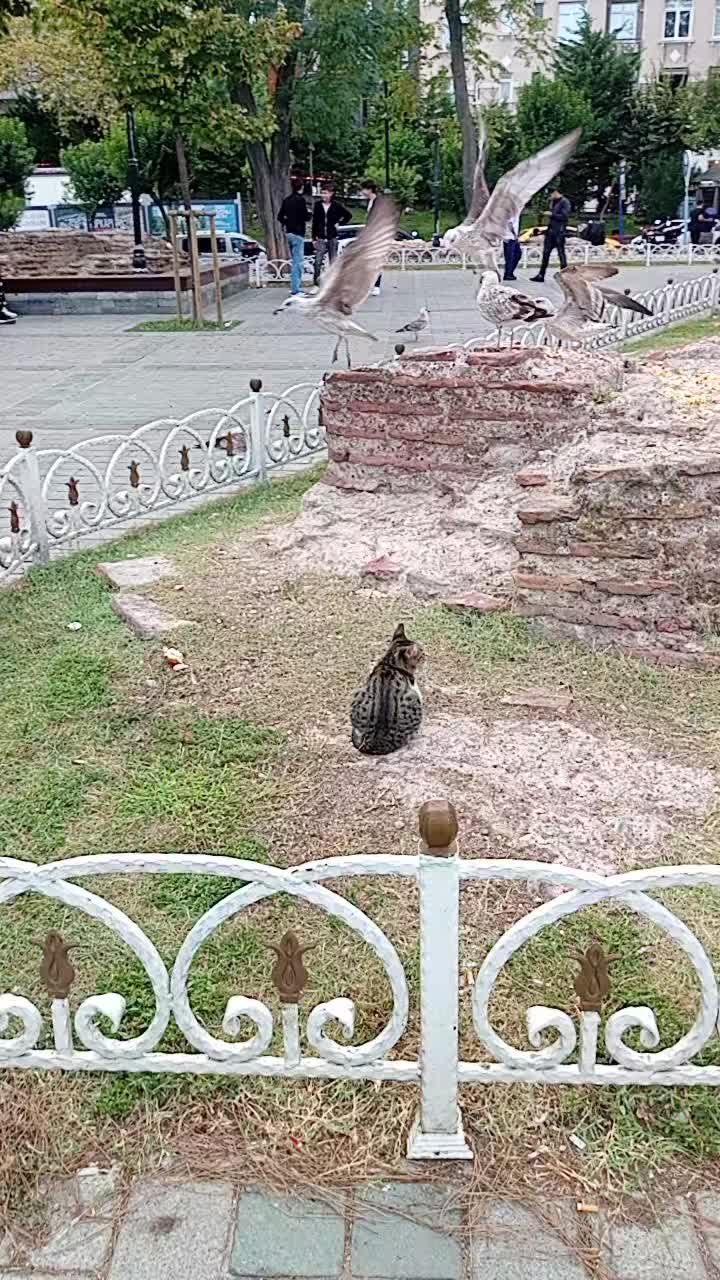 @çetin01_34 god'sman