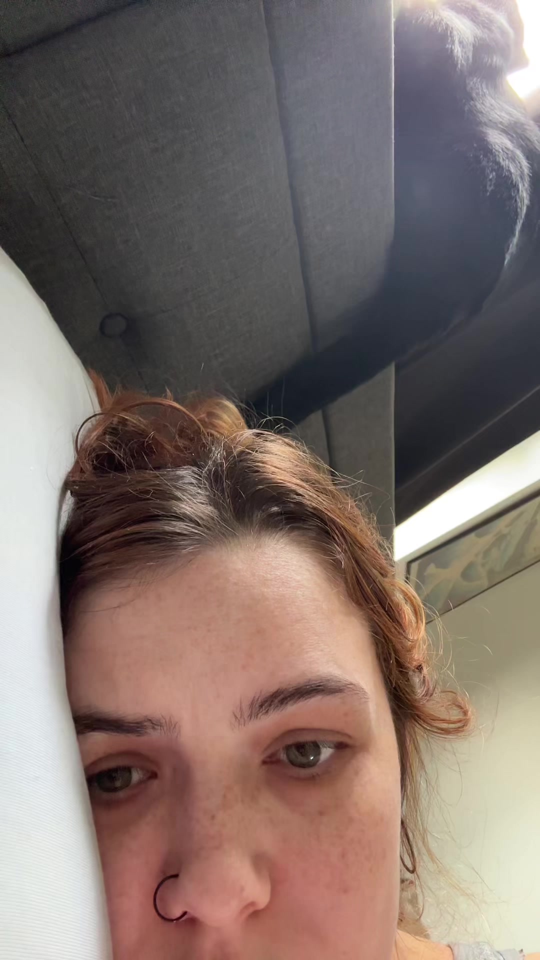 @abibobabi