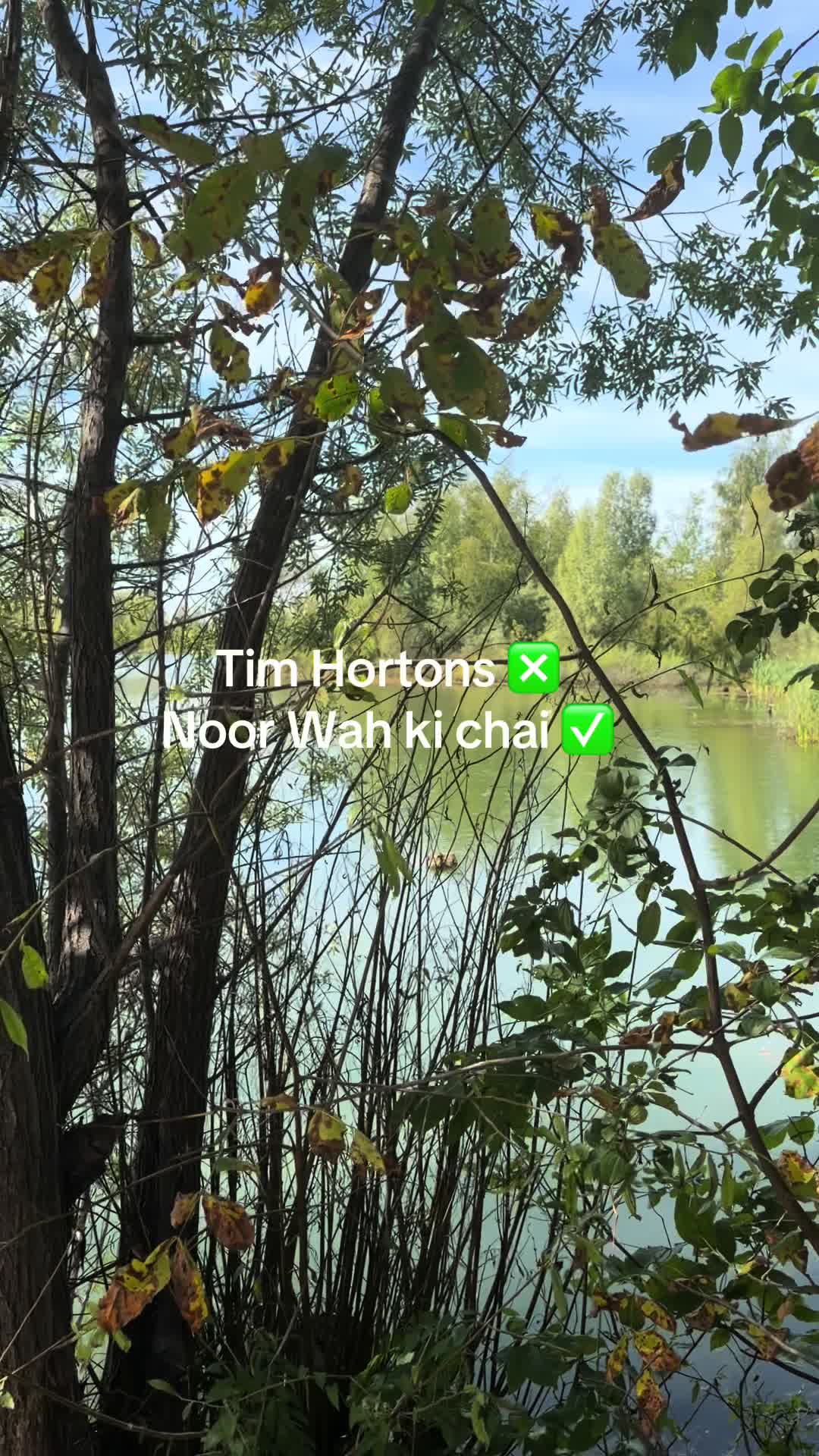 @Ayesha khoso🇵🇰🇨🇦