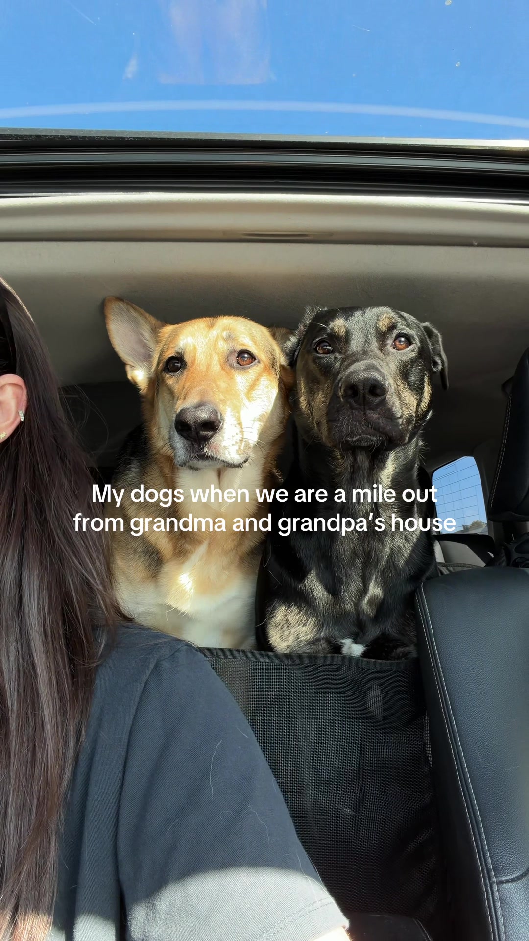 @tdens