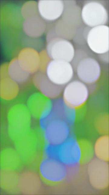 @🪽𝐂𝐫𝐀𝐙𝐲_𝐒𝐮𝐌𝐚𝐍 
