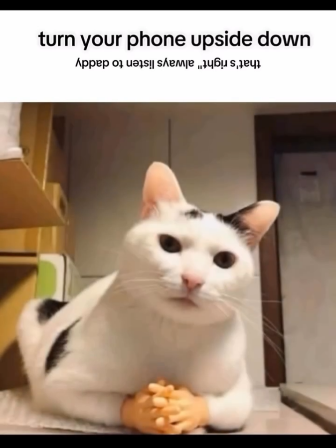 @𝑍𝐴𝑌𝐾𝑂