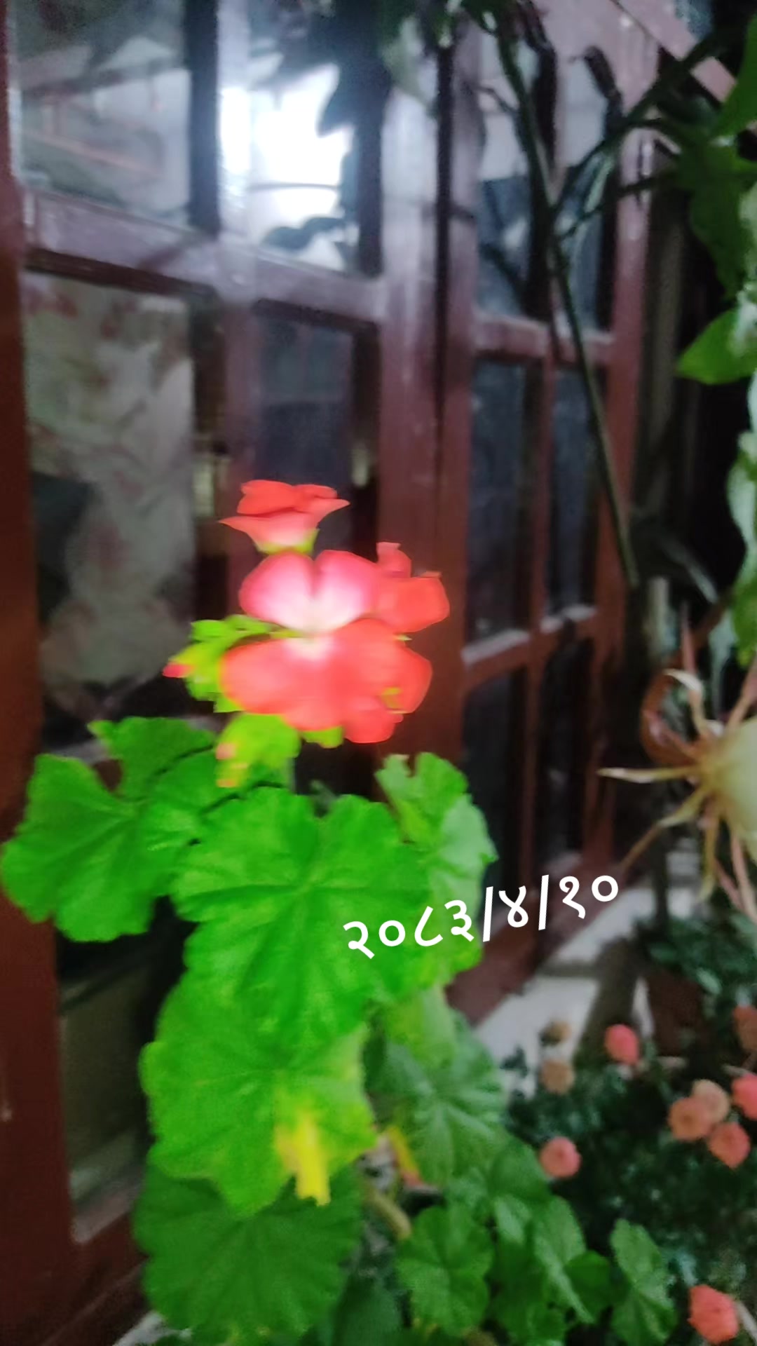 @ममता शर्मा