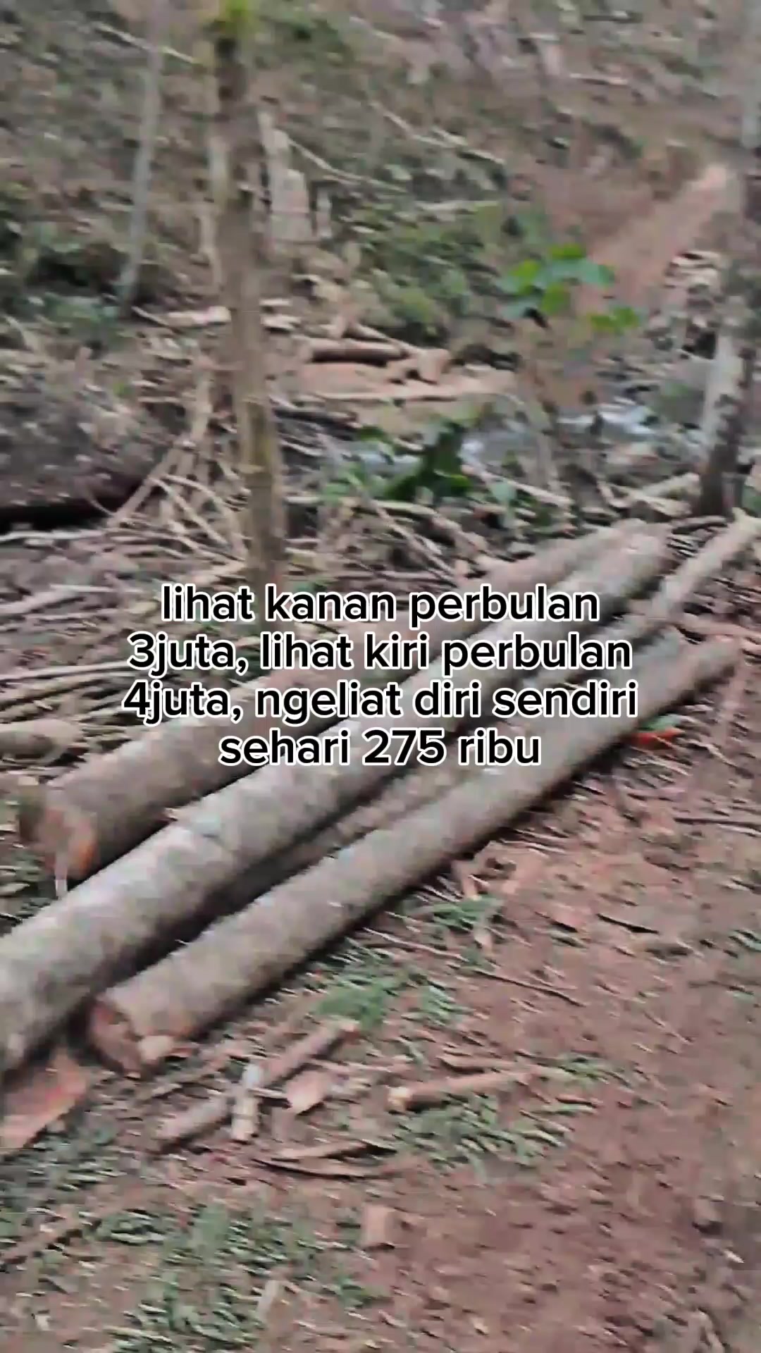 @sobat logging Xpress