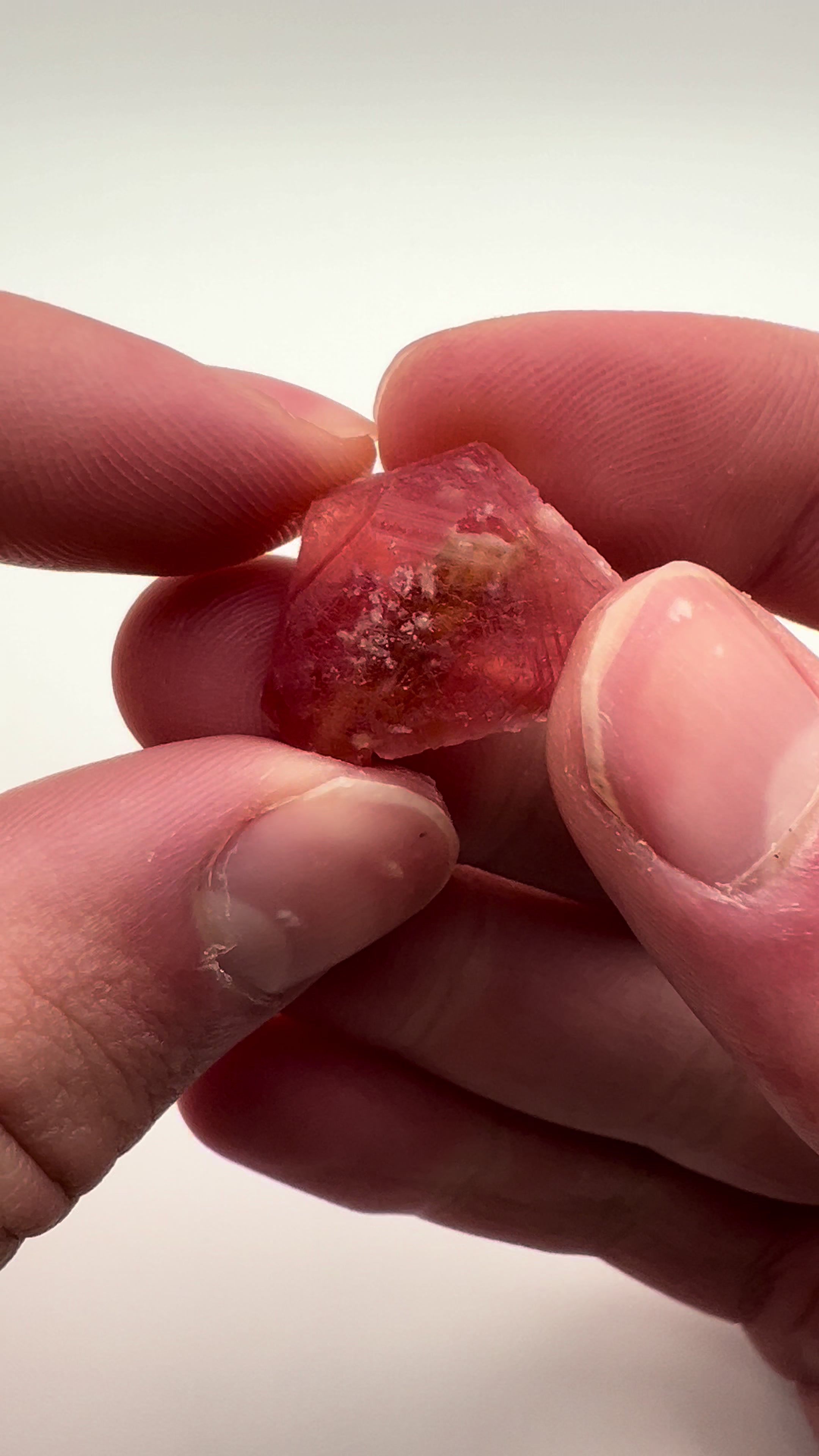 @Capital Crystals | Minerals